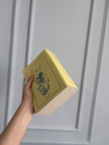قطر و جلد کتاب ابله - اثر فئودور داستایفسکی